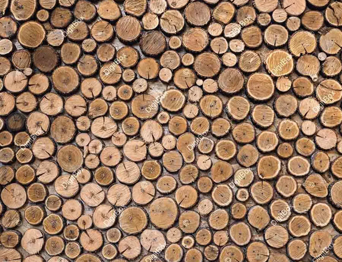 تنه درخت|خدمات باغبانی و درختکاری|قرچک, امین آباد|دیوار