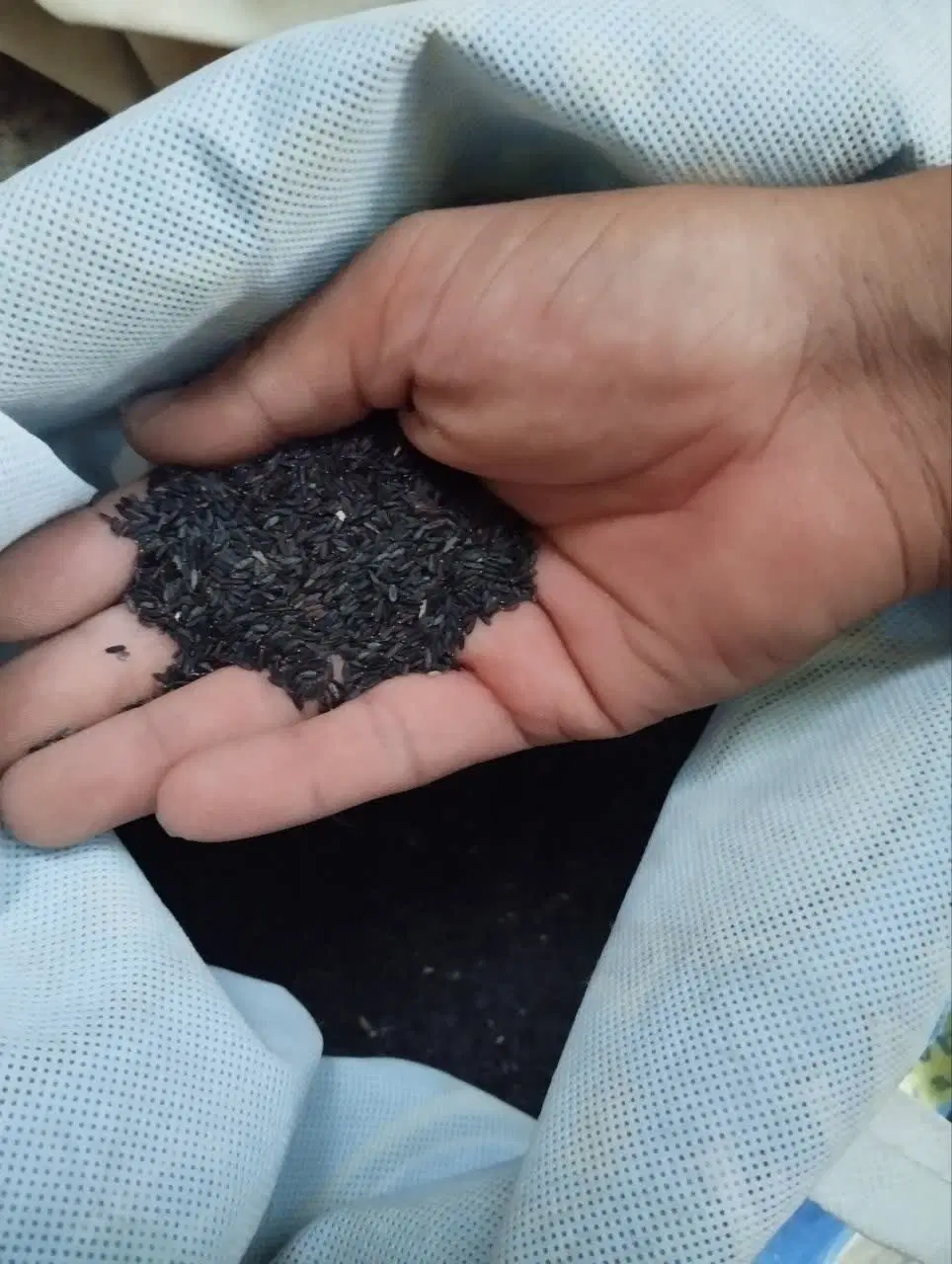 شربت|خوردنی و آشامیدنی|مشهد, بهمن|دیوار