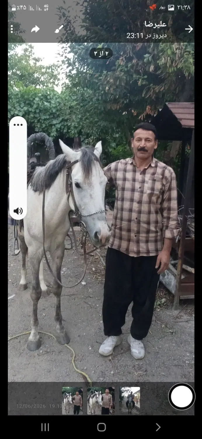 اسب|اسب و تجهیزات اسب‌سواری|چهارباغ, |دیوار