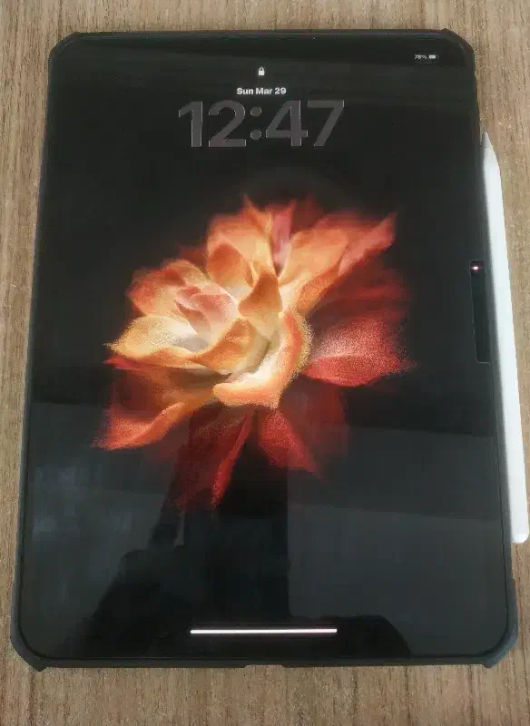 ipad pro m5 2025|تبلت|رشت, چله خانه|دیوار