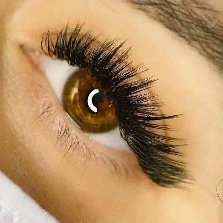 مژه|خدمات آرایشگری و زیبایی|بجنورد, |دیوار