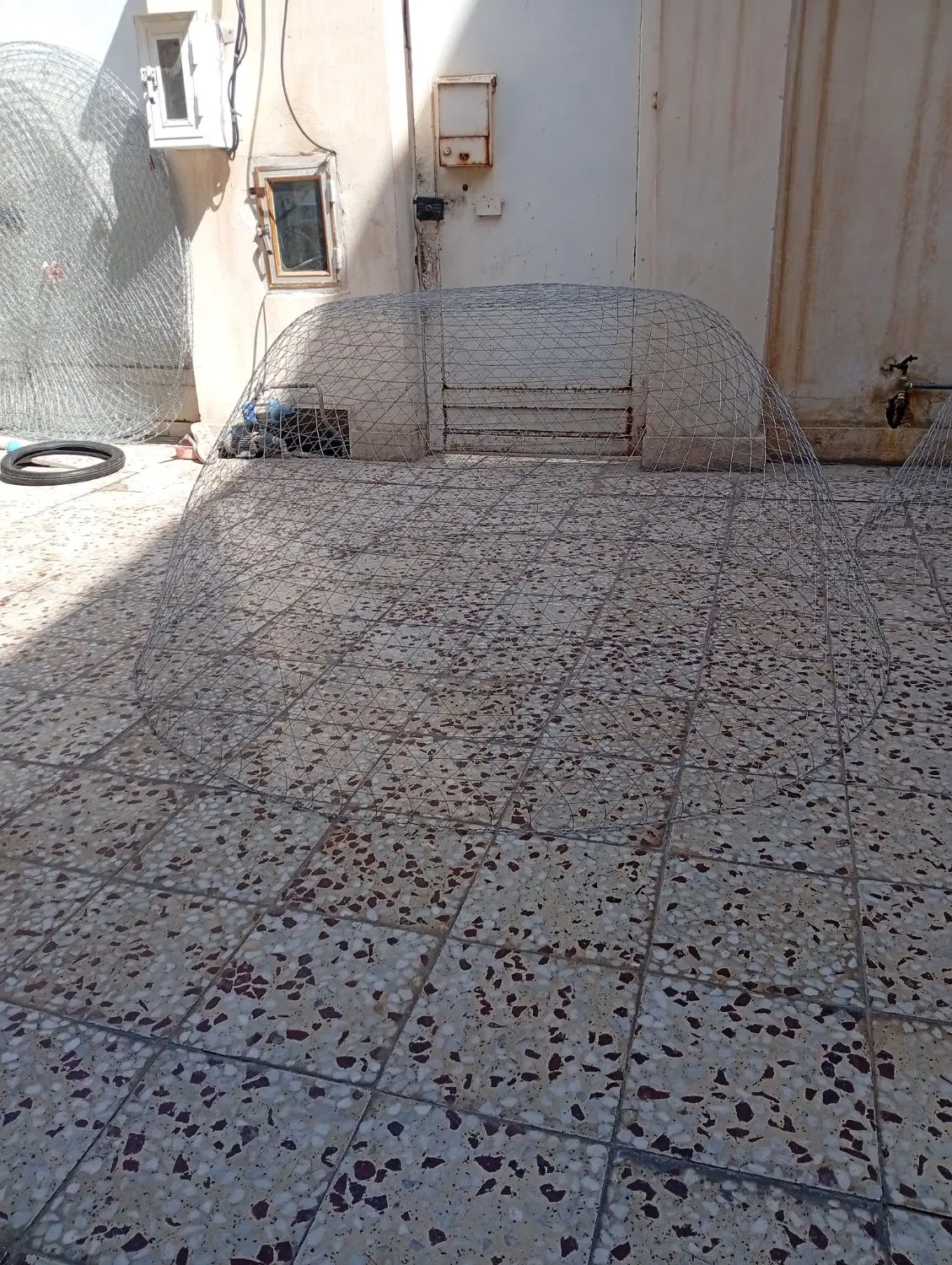 گرگور|ماهی|بوشهر, |دیوار