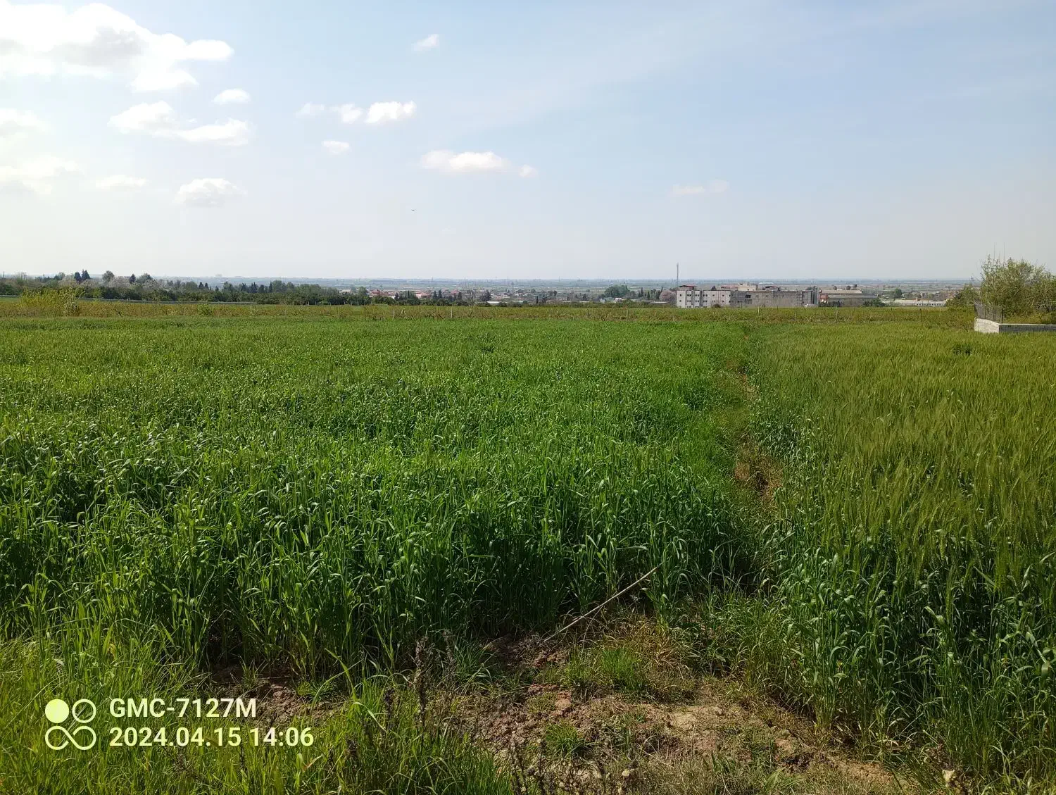 فروش زمین|فروش زمین و ملک کلنگی|سورک, |دیوار