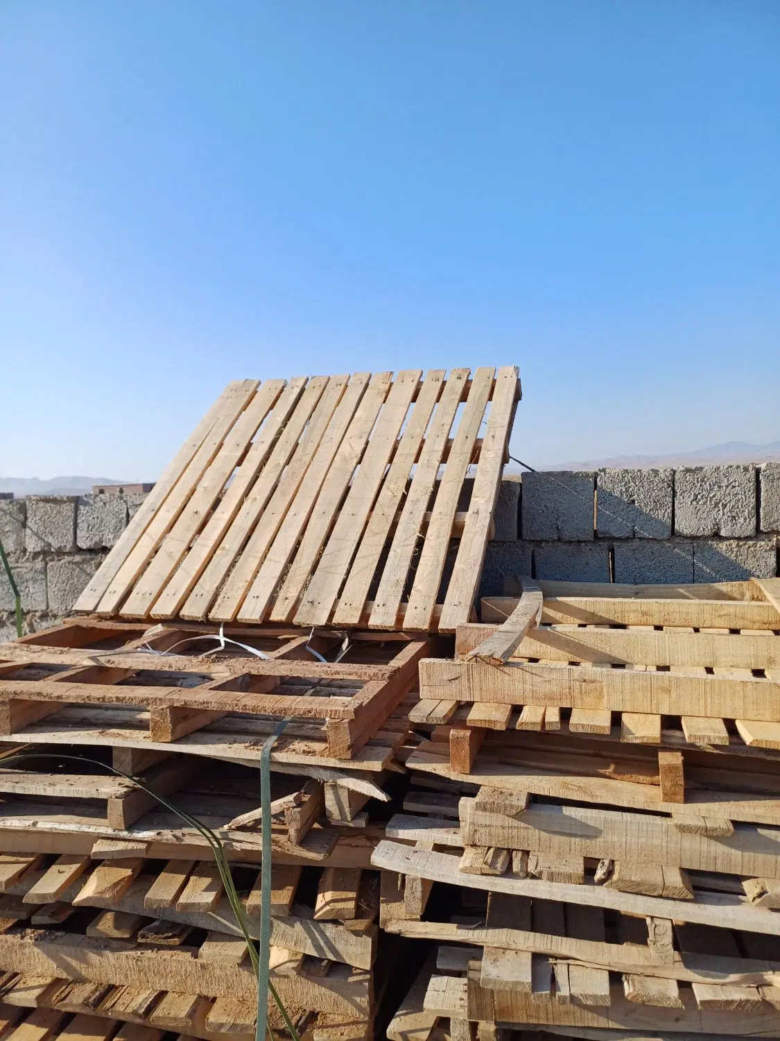 پالت|ابزارآلات|گزیک, |دیوار