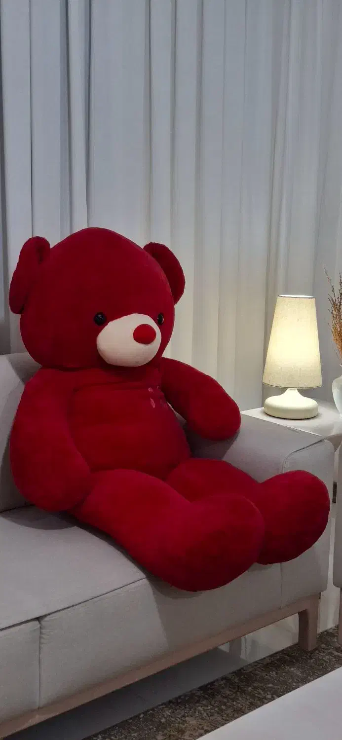 خرس|اسباببازی|شیراز, شاهجیان|دیوار