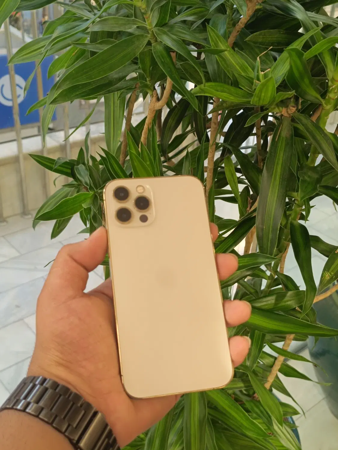 iPhone 12pro 256G|موبایل|مشهد, بهشت|دیوار