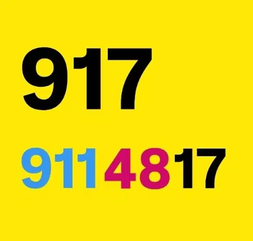 0917-911-0818|سیمکارت|شیراز, معالیآباد|دیوار