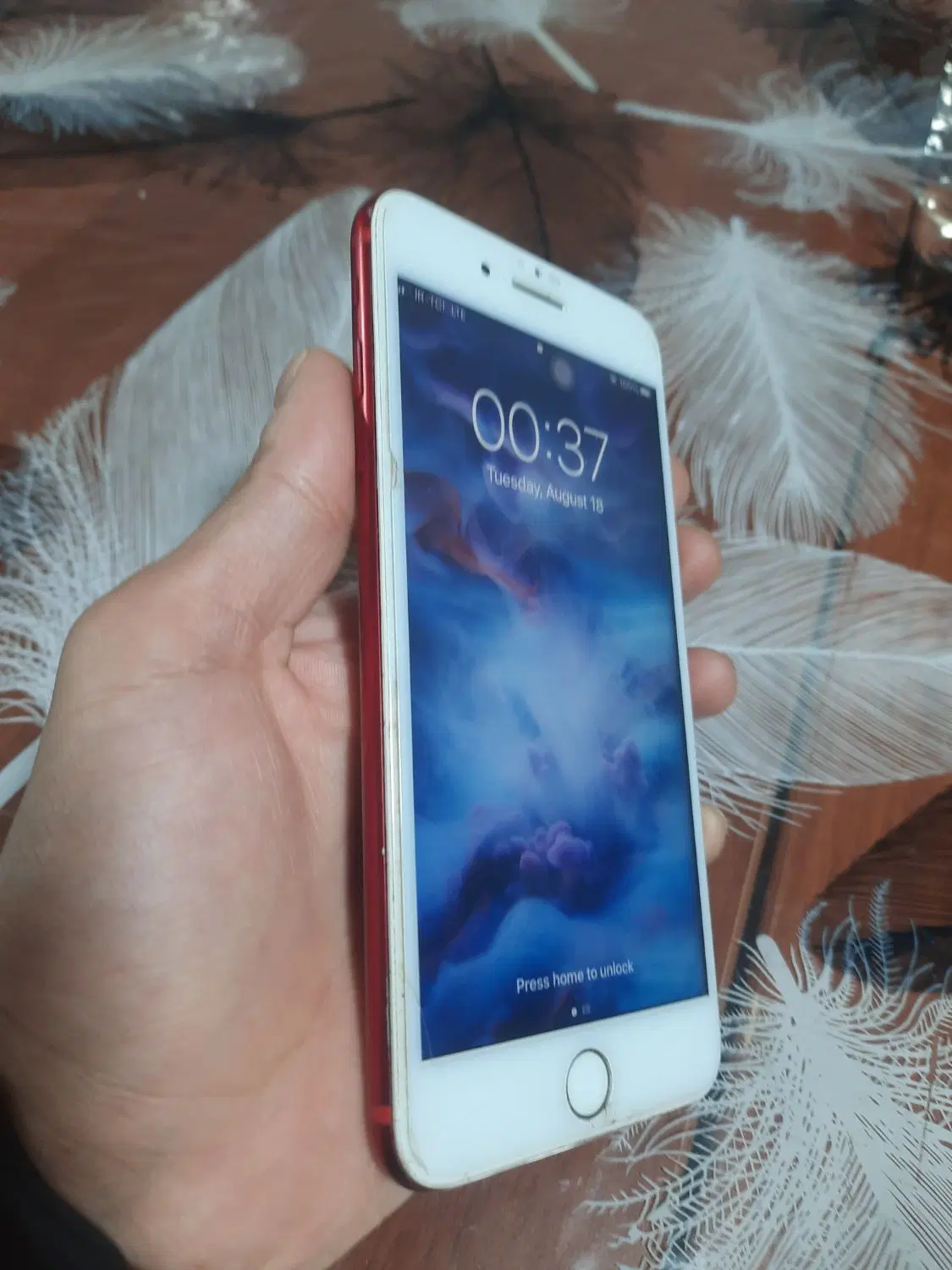 apple 7 plus|موبایل|رشت, منظریه|دیوار