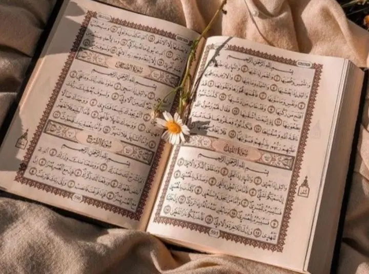 قزان|کتاب و مجله مذهبی|بندر امام خمینی, |دیوار