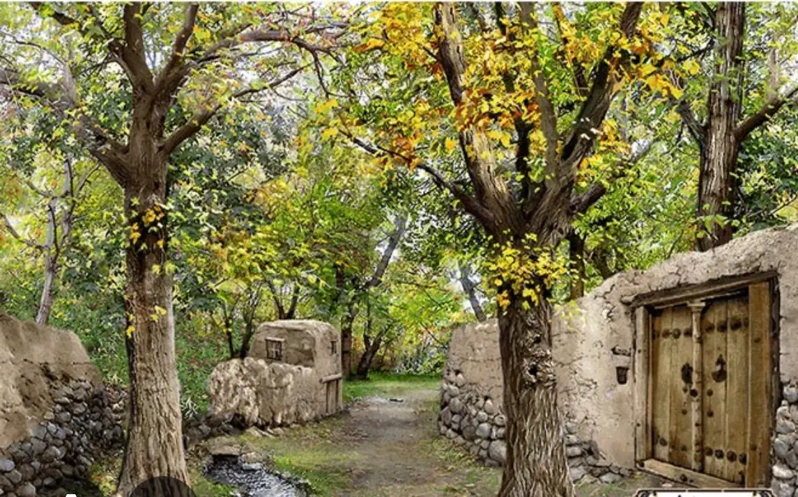 دار قالی|تابلو فرش|رباطکریم, رباطکریم|دیوار