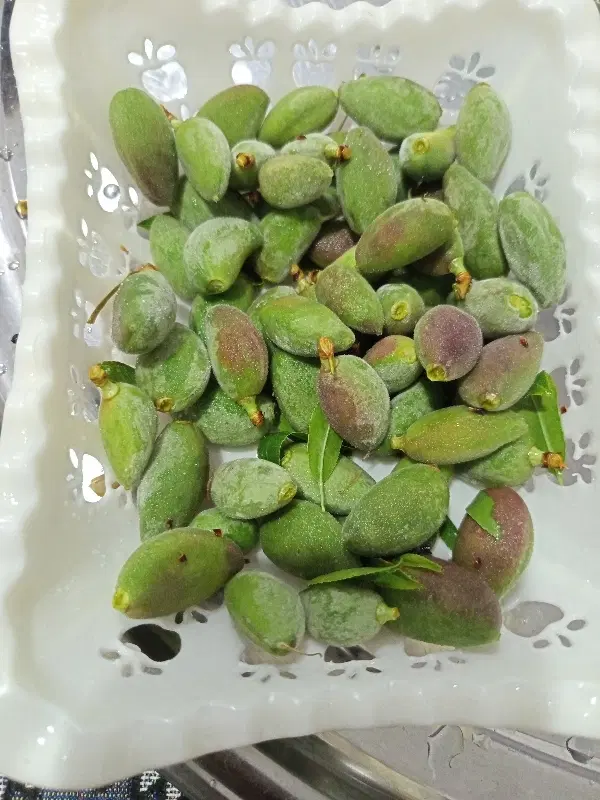 چاقاله|خوردنی و آشامیدنی|کرانی, |دیوار