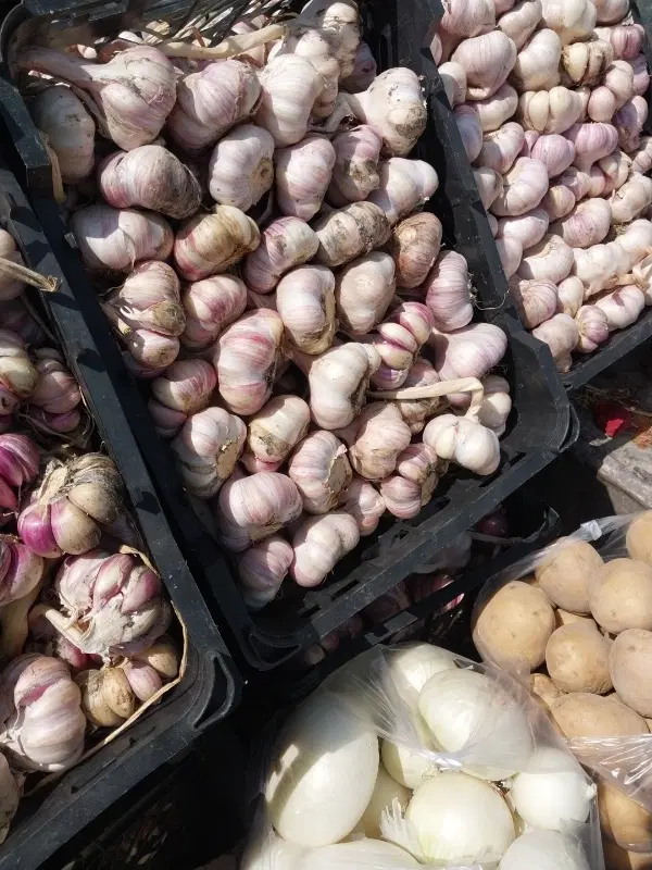 سیر|خوردنی و آشامیدنی|اراک, |دیوار
