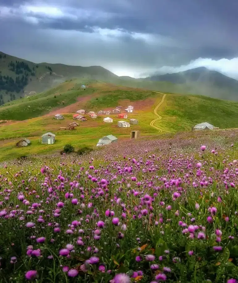 طبیعتگردی|تور و چارتر|کرج, چمران|دیوار