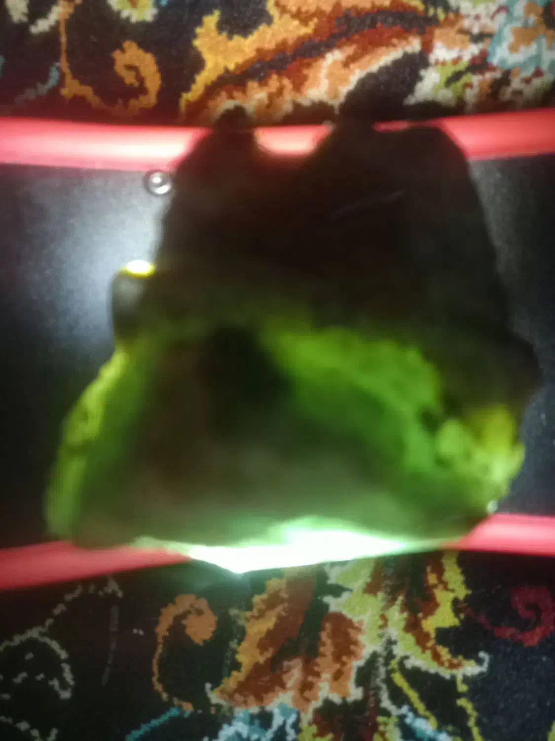 سنگ زمرد|جواهرات|تهران, مسعودیه|دیوار