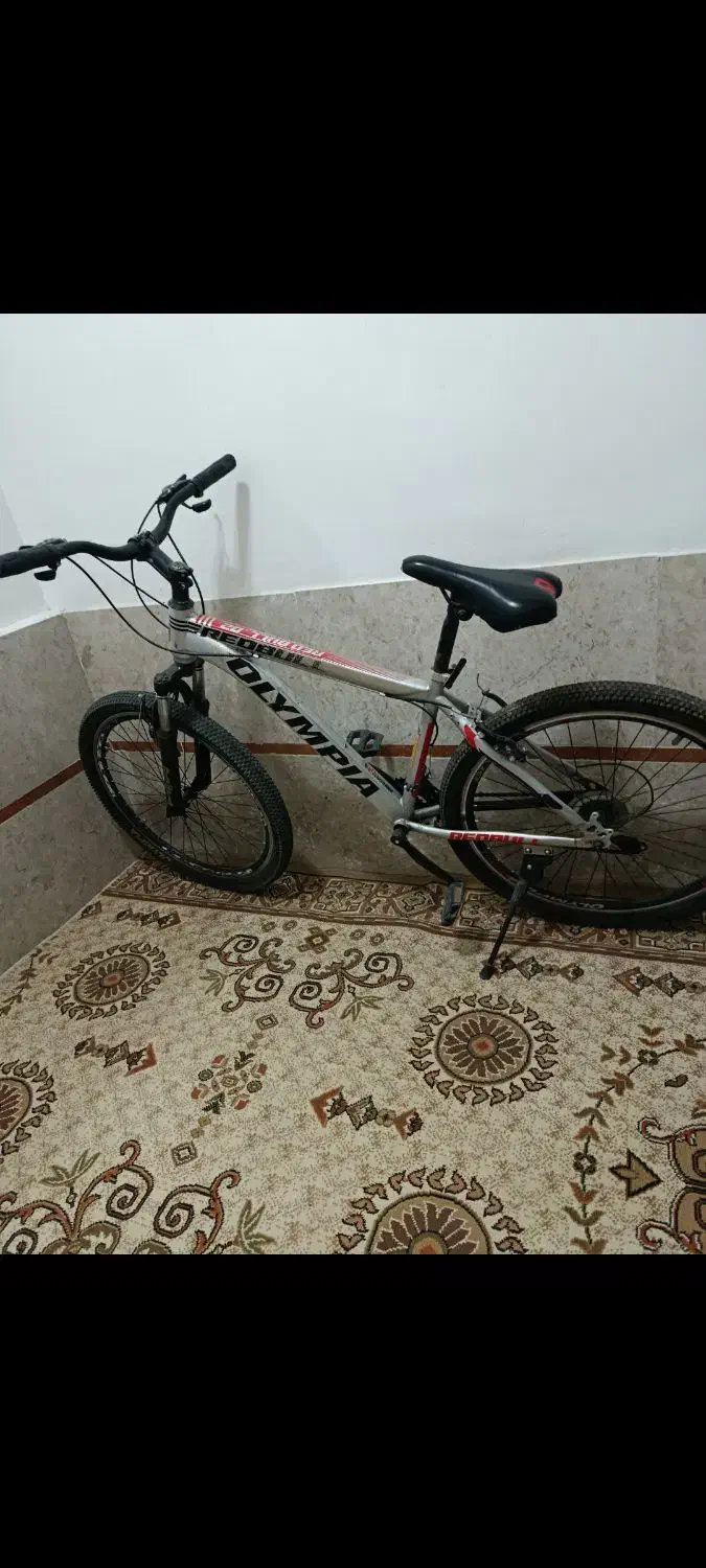 دوچرخه ۲۶|دوچرخه، اسکیت، اسکوتر|پیشوا, |دیوار