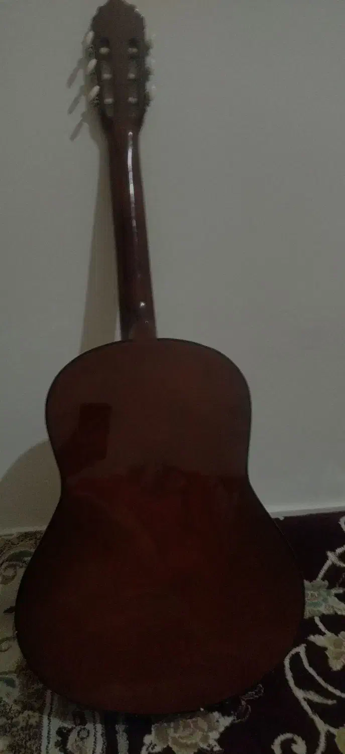 گیتار مبتدی|گیتار، بیس، امپلیفایر|مهاجران, |دیوار