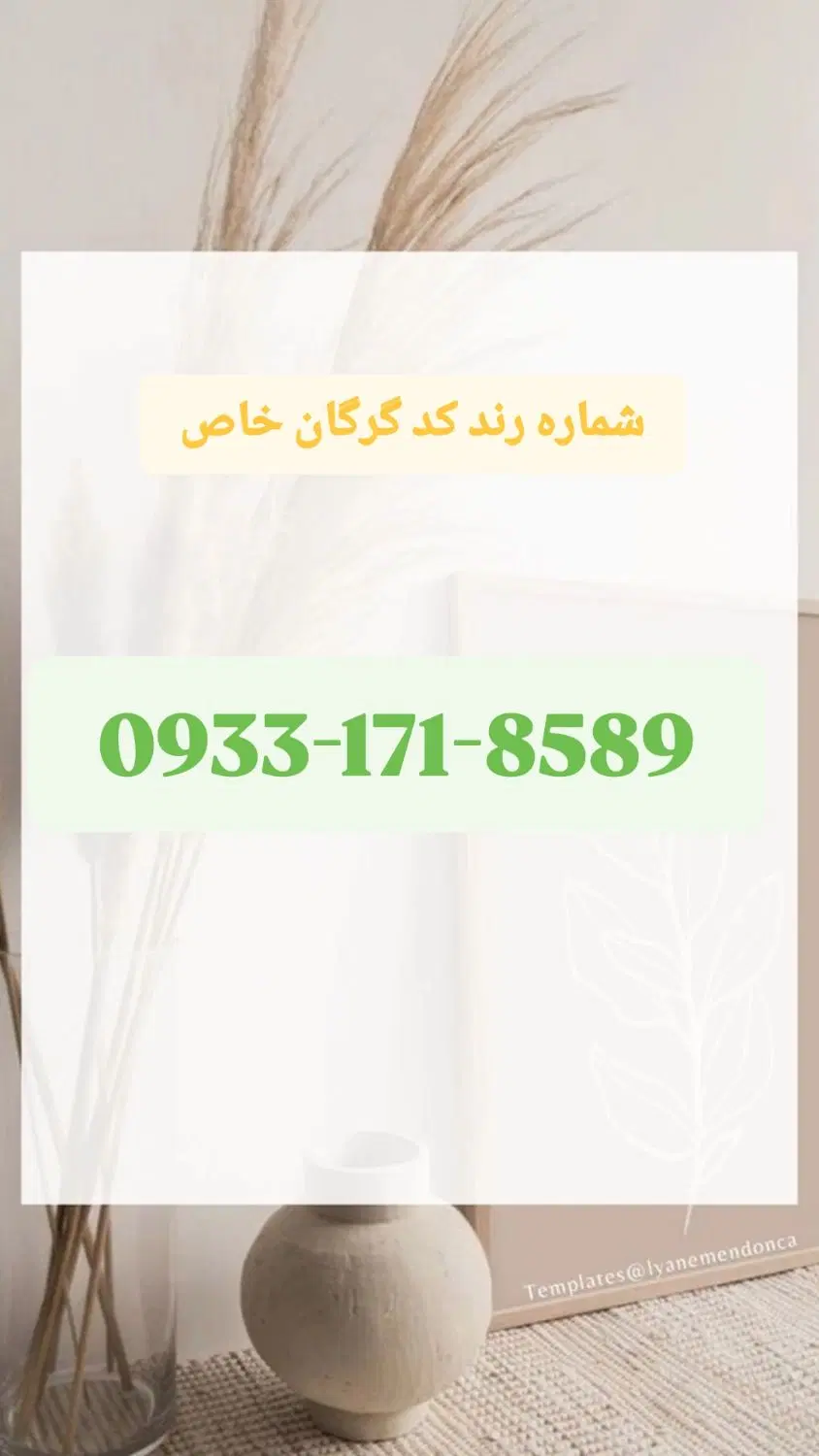 0933-171-8589|سیمکارت|گرگان, |دیوار