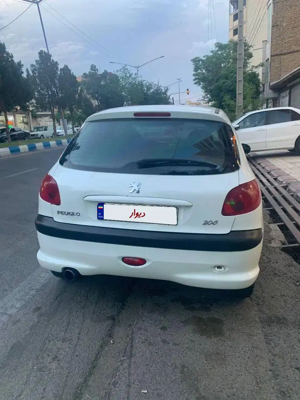 206 خونگی|خودرو سواری و وانت|میانه, |دیوار