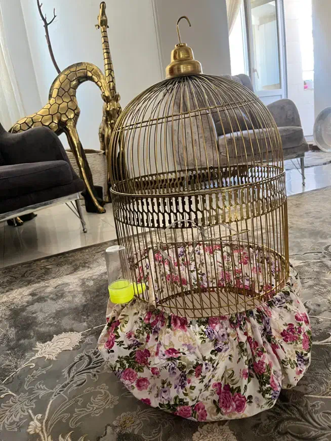 قفس طلایی و لوازم|لوازم جانبی حیوانات|تهران, مسعودیه|دیوار