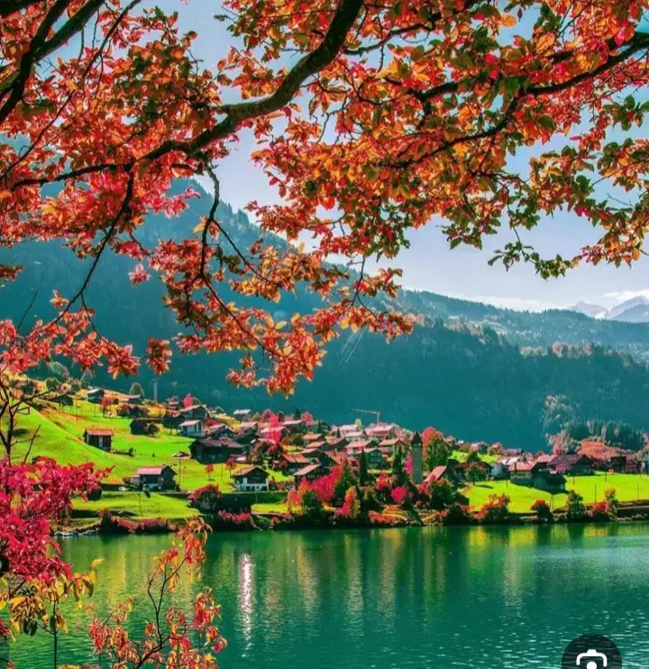 طبیعت|تور و چارتر|مشهد, ایثارگران|دیوار