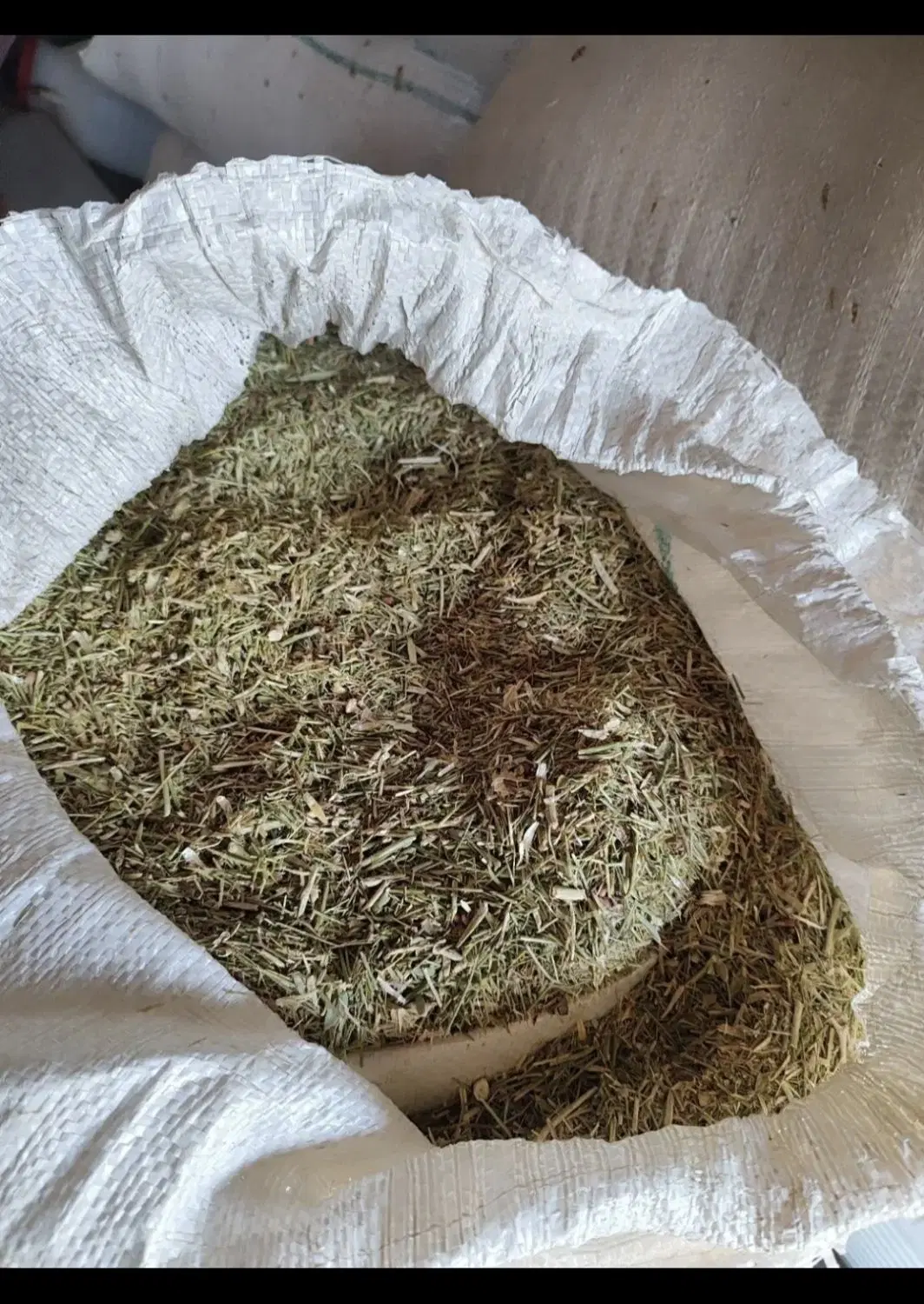 خارشتری|خدمات باغبانی و درختکاری|کوهپایه, |دیوار