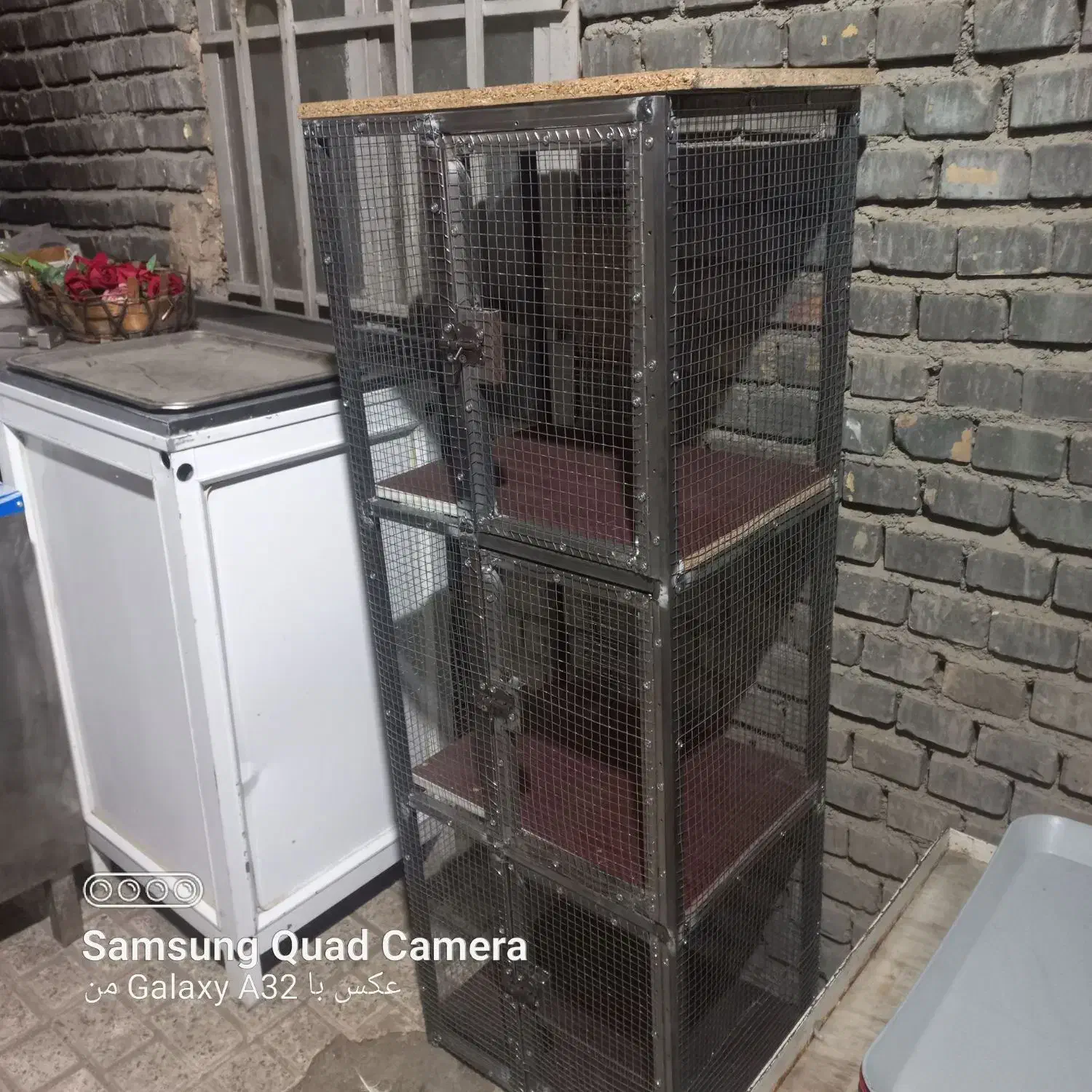 قفس جفتگاه|لوازم جانبی حیوانات|مشهد, کارگران|دیوار