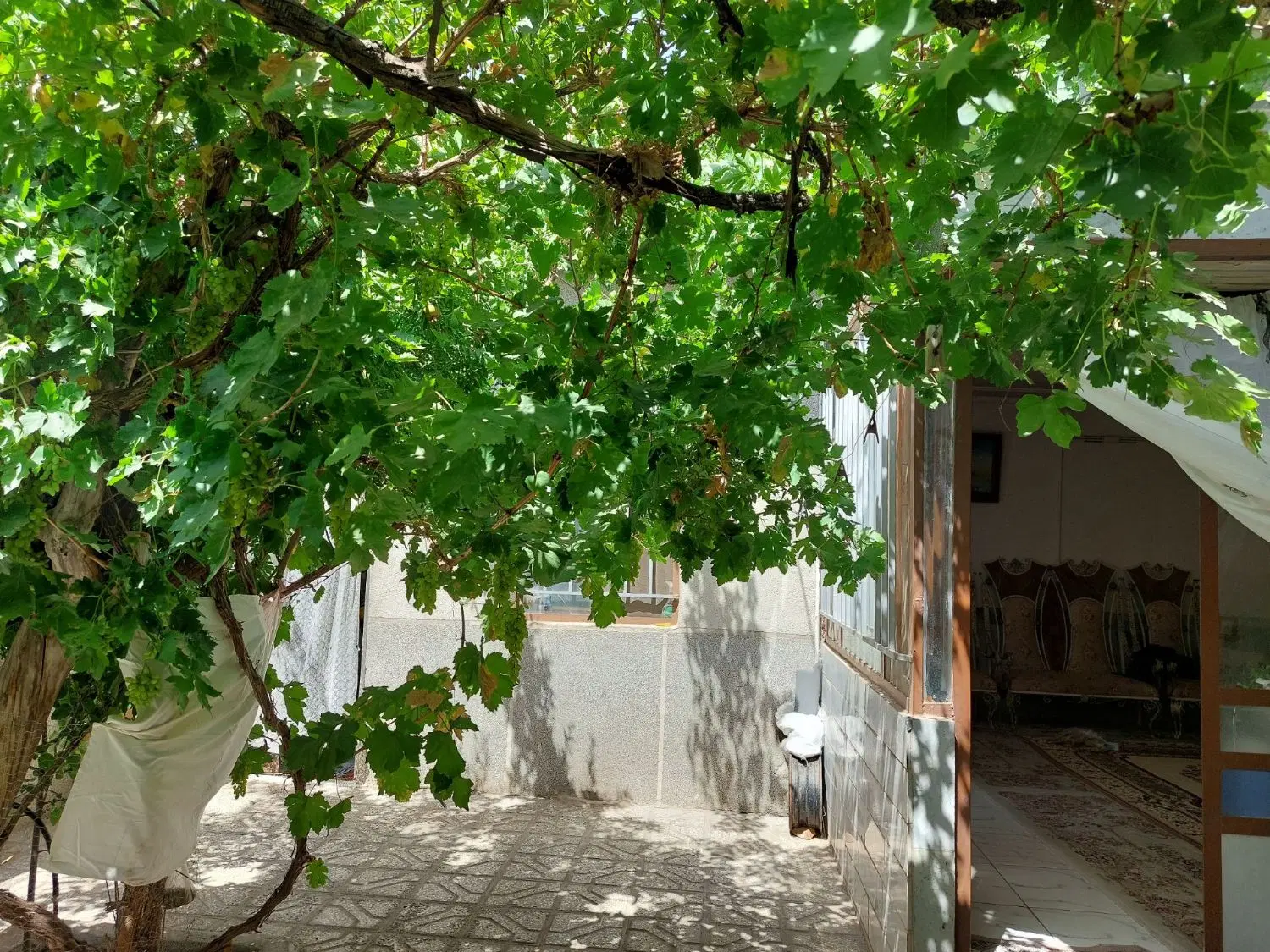 تصویر 10