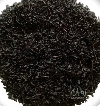 چای|خوردنی و آشامیدنی|رشت, عینک|دیوار