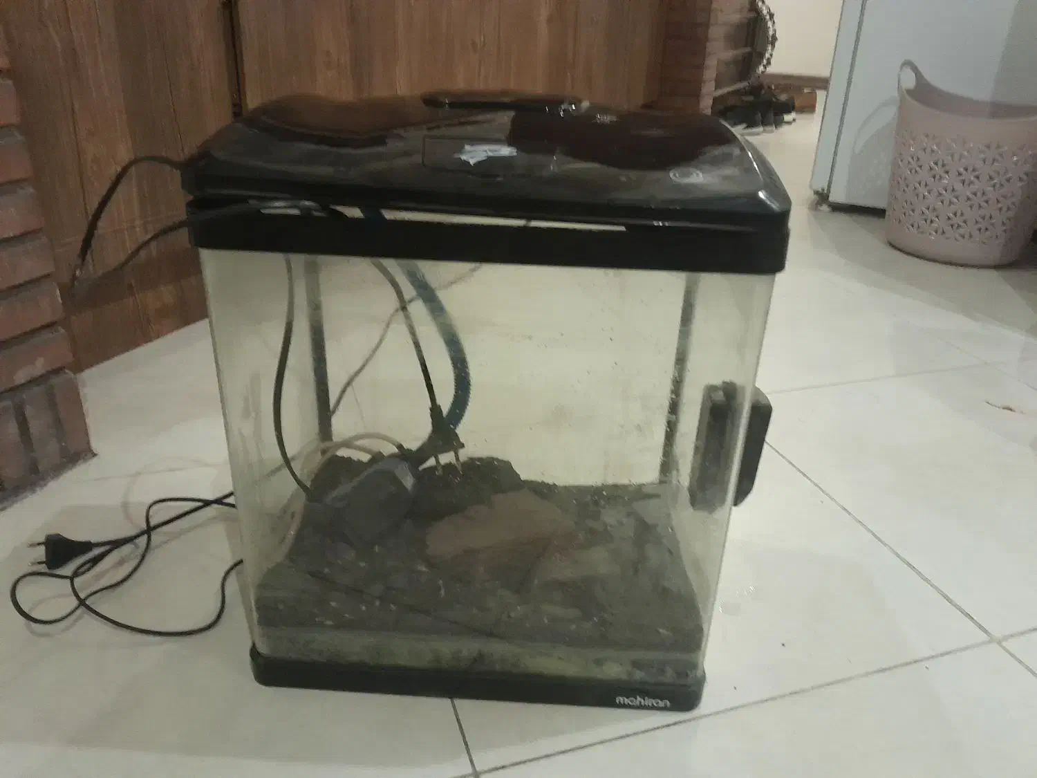 آکواریوم|ماهی|تهران, فاطمی|دیوار