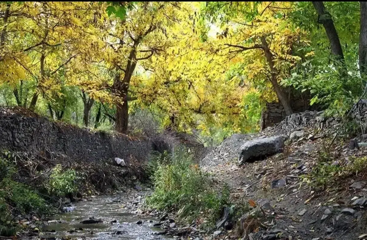 مشهد گردی|تور و چارتر|مشهد, حرم مطهر رضوی|دیوار