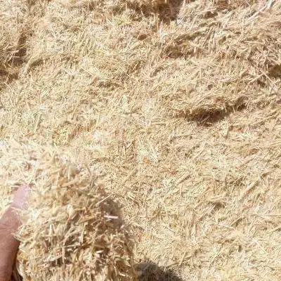 کاگندم|لوازم جانبی حیوانات|دهگلان, |دیوار