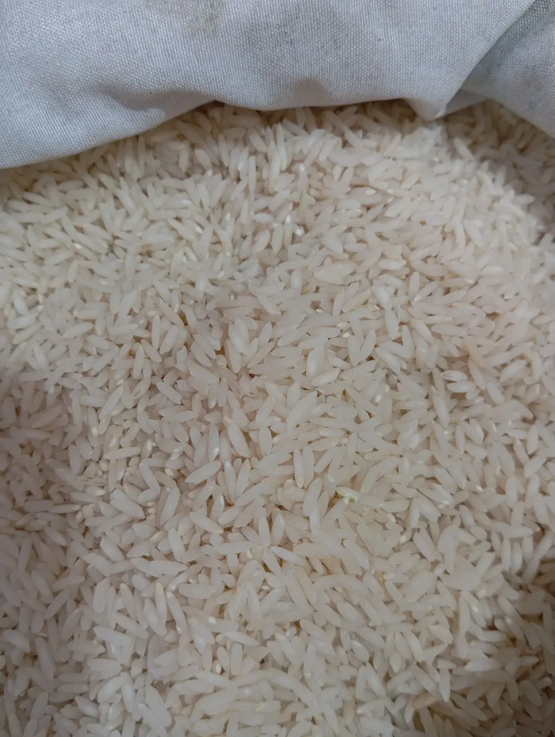 برنجی|خوردنی و آشامیدنی|گرمسار, |دیوار