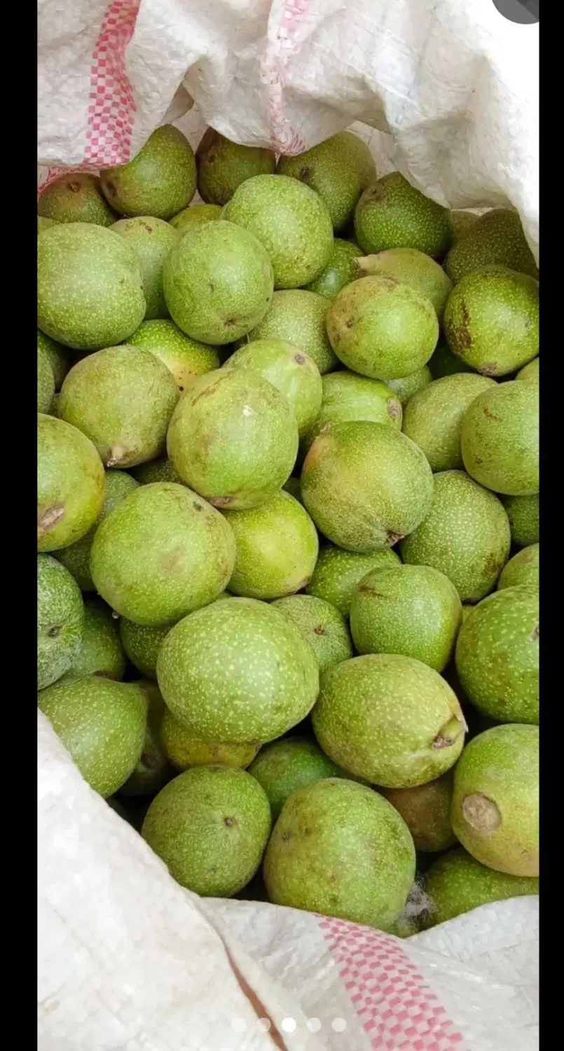 گردو|خوردنی و آشامیدنی|خرمآباد, |دیوار