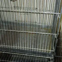 سهره قفس سهره معاوضه سهره