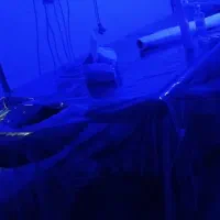 مربی ورزشی اصلاحی . ماس یس ( بانوان)