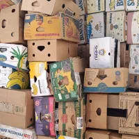 کارتن موزی اسباب کشی