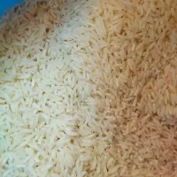 برنج هاشمی درجه ۱ سورتینگ شده