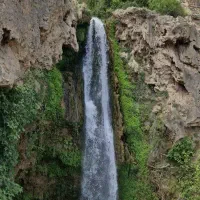 تور گردشگری شاهان