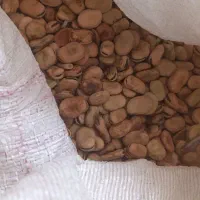 کیلوگرمن