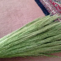 جارو خونگی