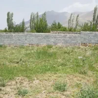 فروش زمین درقره بوته