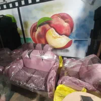 مبل در حد نو