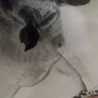 نقاشی سیاه قلم
