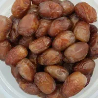 رطب کبکاب