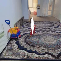 فرش 700 شانه