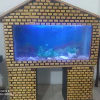 اکواریم کلبی باتمام وسایل و50عددماهی