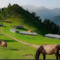سفر شمال
