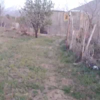 باغ-خوش-منظره