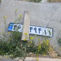 گمشده