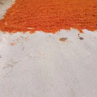تفاله گوجه